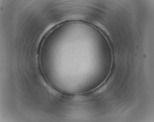 X0000076221029200610122045