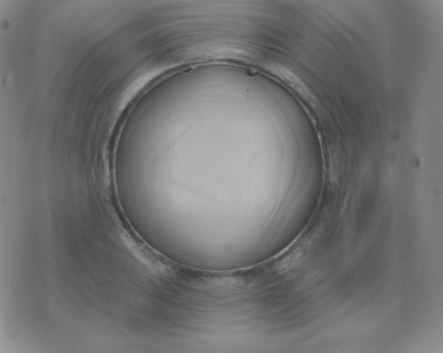 X0000076221031200610122045