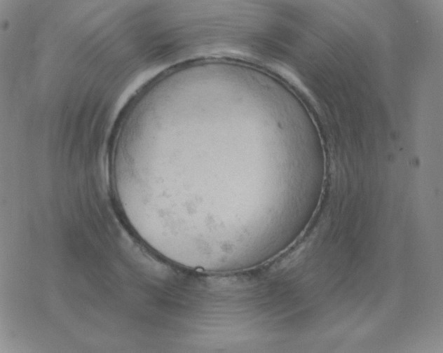 X0000076221032200610122045