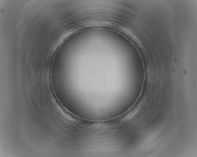 X0000076221033200610122045