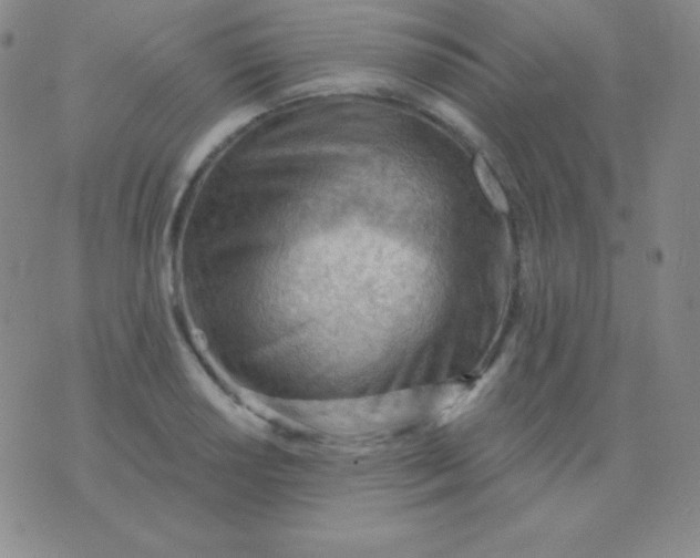 X0000076221034200610122045