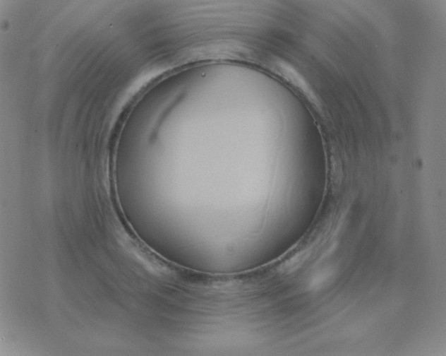 X0000076221035200610122045