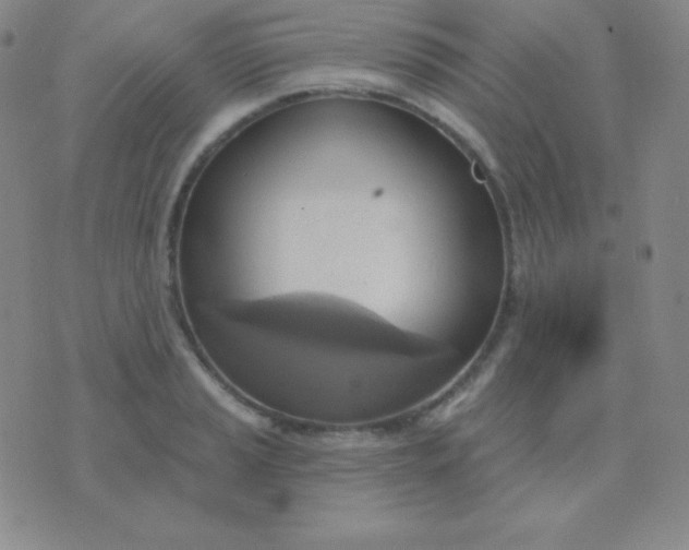 X0000076221037200610122045