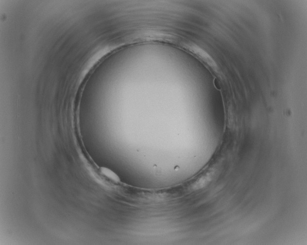 X0000076221039200610122045