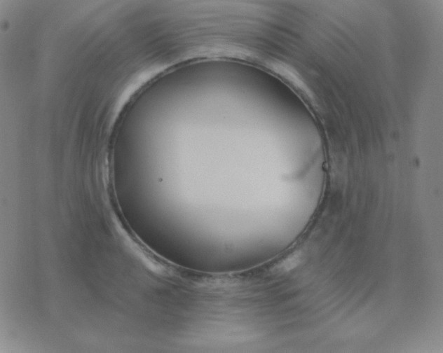 X0000076221040200610122045