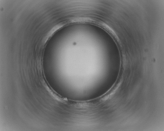 X0000076221041200610122045