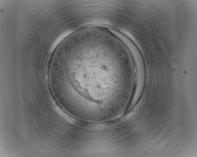 X0000076221042200610122045