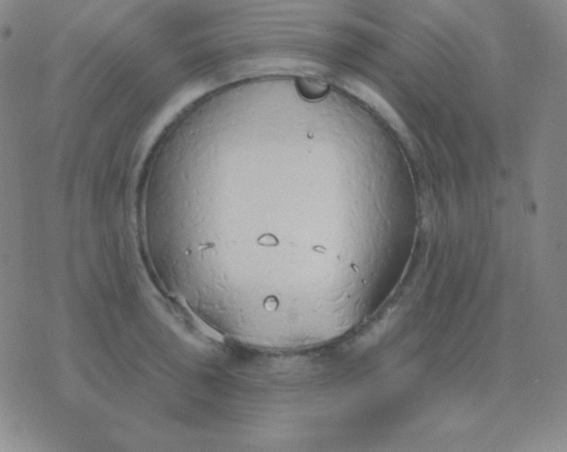 X0000076221043200610122045