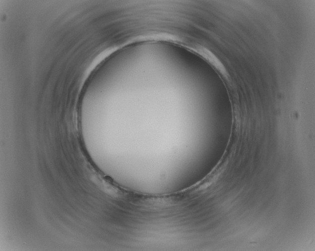 X0000076221044200610122045