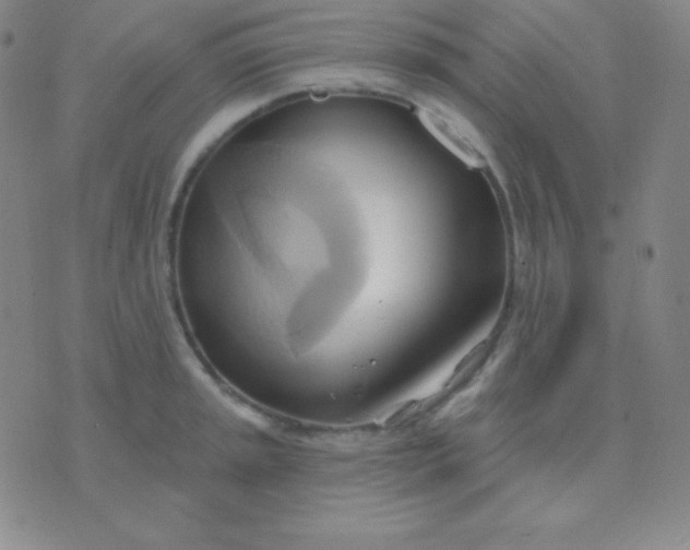 X0000076221045200610122045