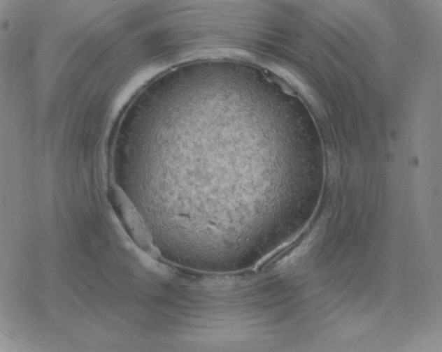 X0000076221046200610122045