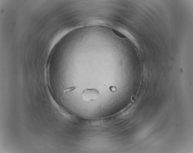 X0000076221047200610122045