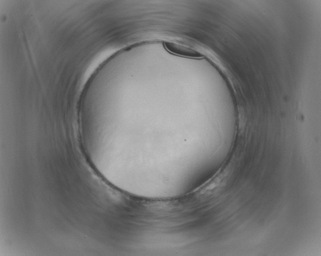 X0000076221048200610122045