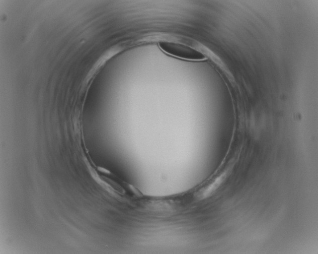 X0000076221049200610122045