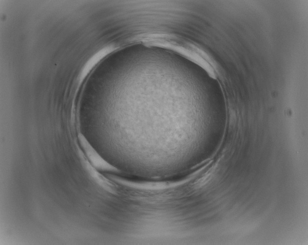 X0000076221050200610122045