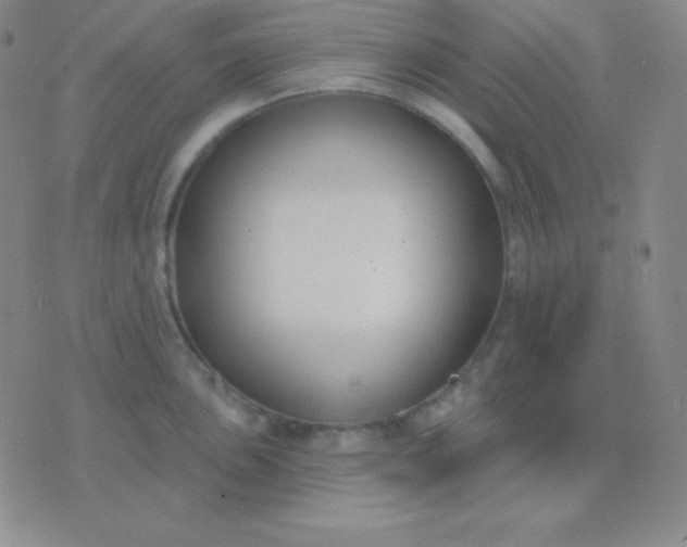 X0000076221051200610122045