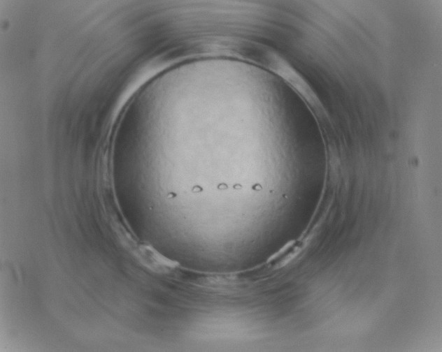 X0000076221052200610122045