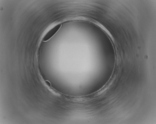 X0000076221053200610122045