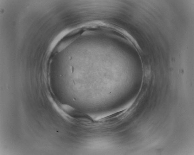 X0000076221054200610122045