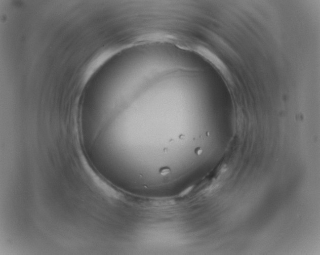 X0000076221055200610122045