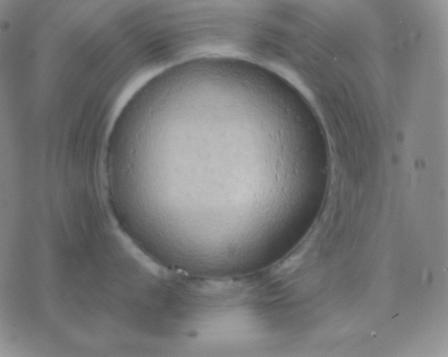 X0000076221056200610122045