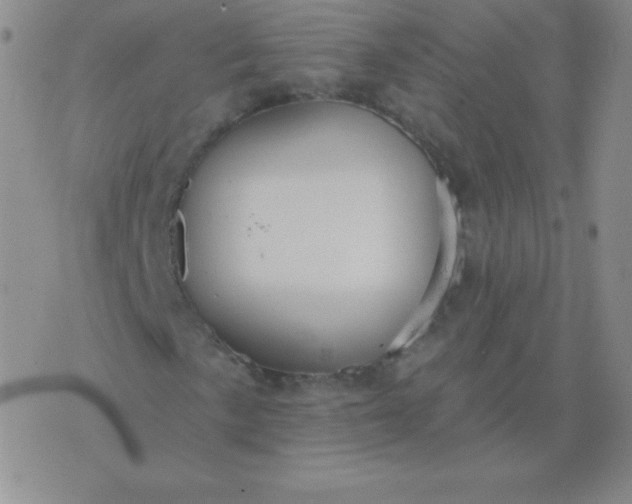 X0000076221057200610122044