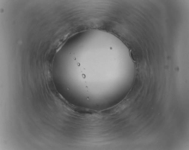 X0000076221058200610122044