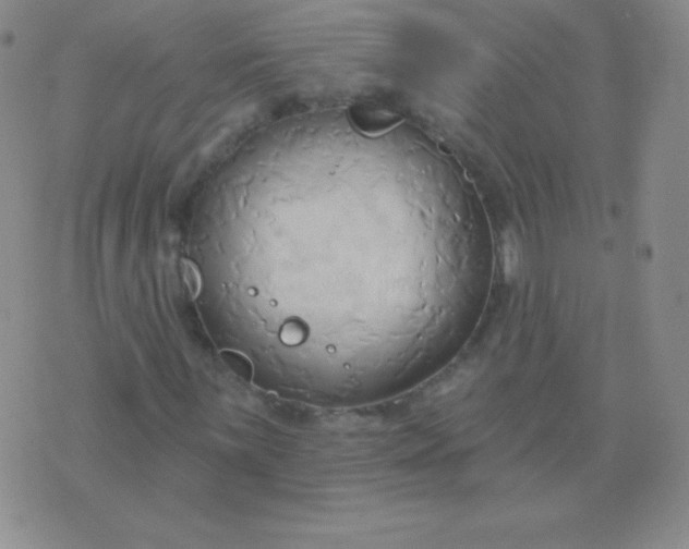 X0000076221059200610122044