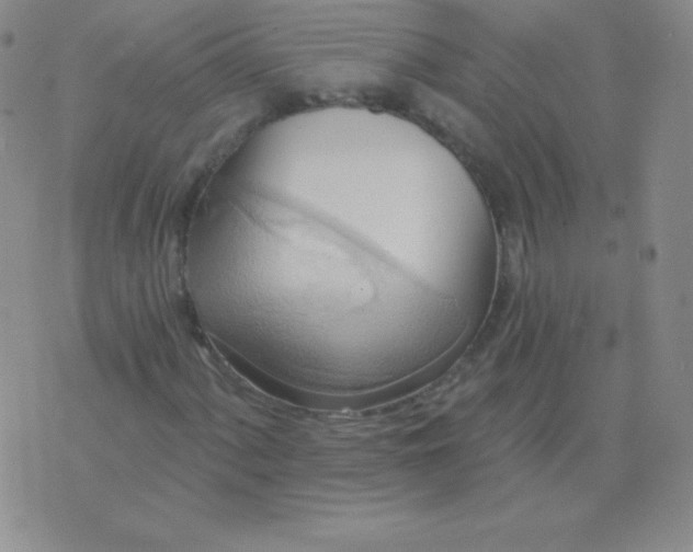 X0000076221060200610122044