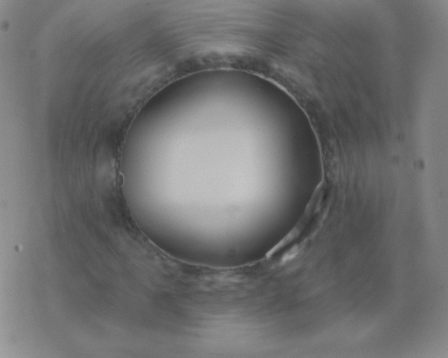 X0000076221061200610122044