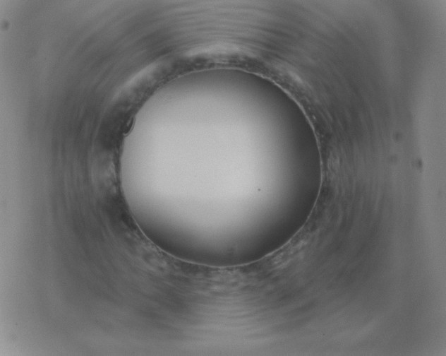 X0000076221062200610122044