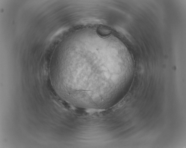 X0000076221063200610122044