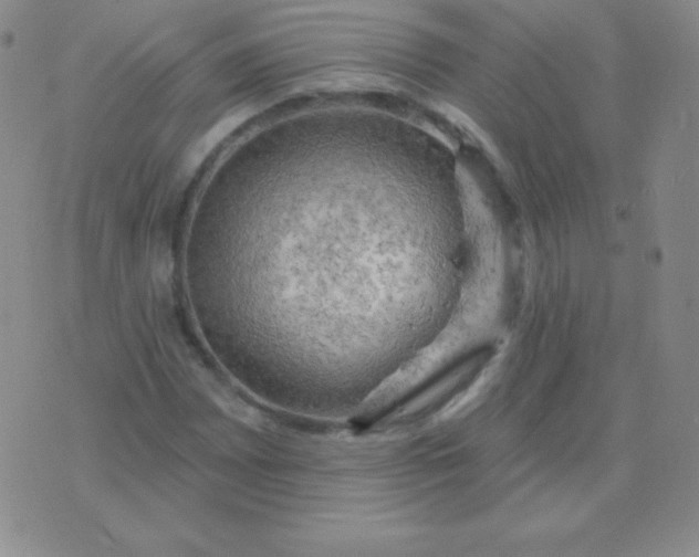 X0000076221065200610122044