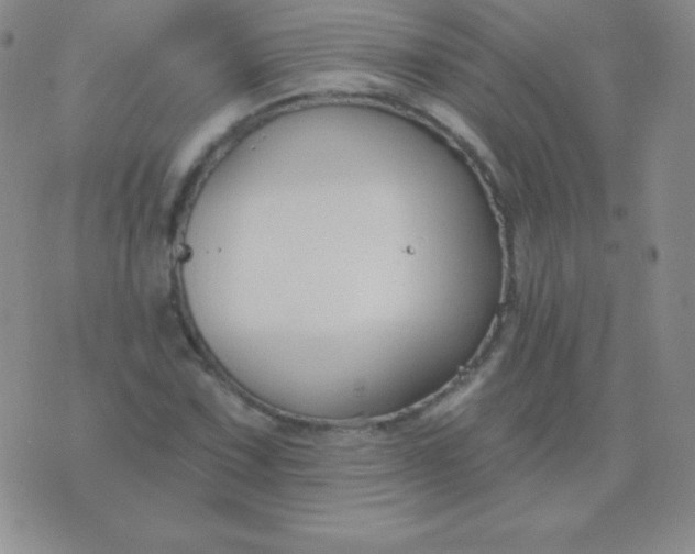 X0000076221067200610122044