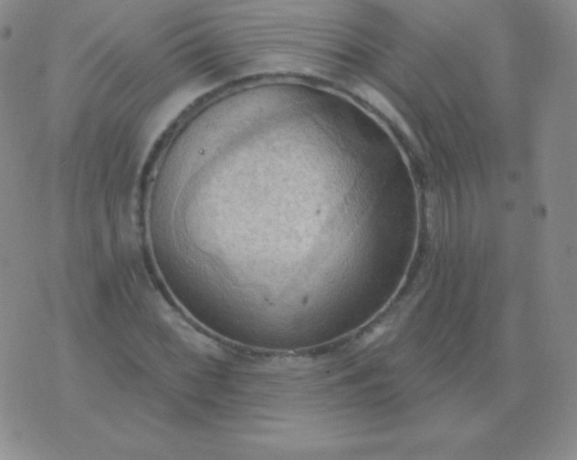 X0000076221068200610122044