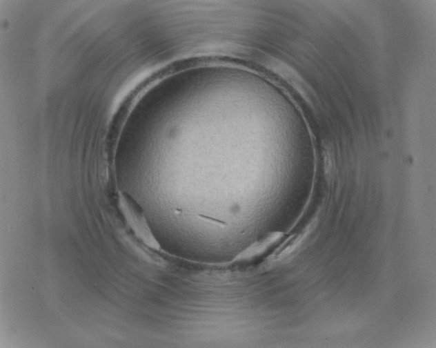 X0000076221069200610122044