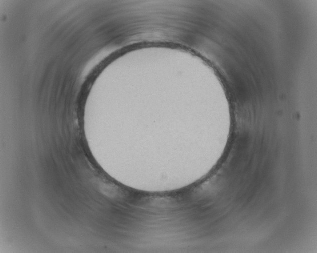 X0000076221070200610122044