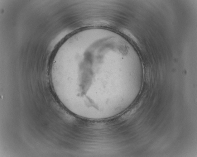 X0000076221071200610122044