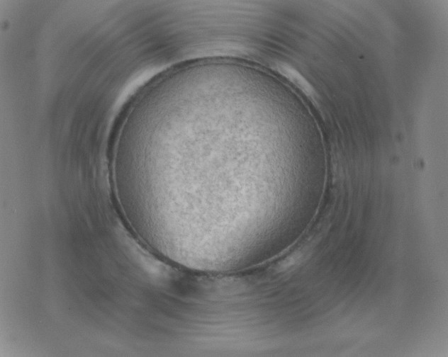 X0000076221072200610122044