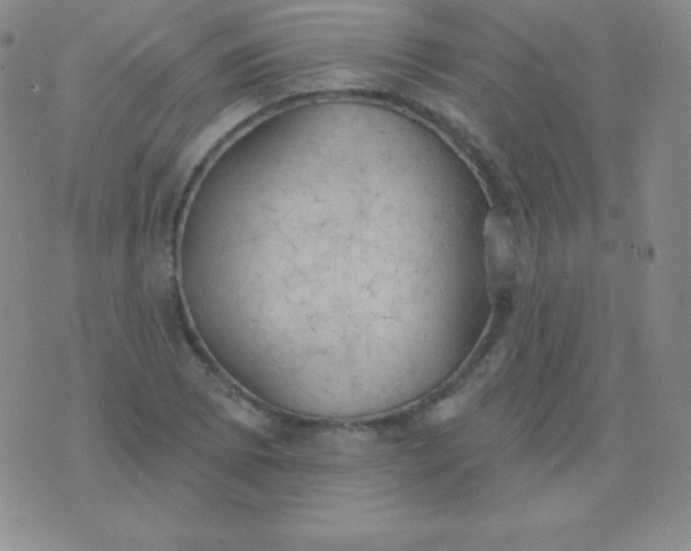 X0000076221073200610122044