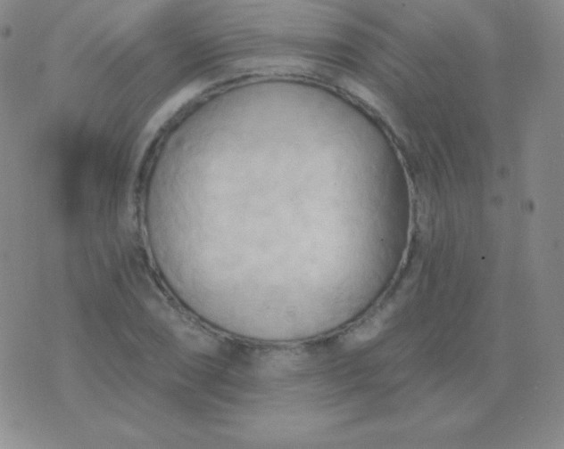 X0000076221074200610122044