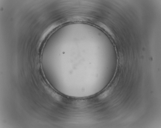 X0000076221075200610122044