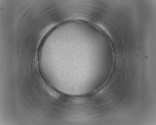 X0000076221076200610122044