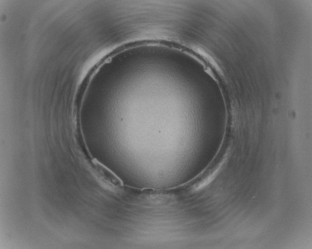 X0000076221077200610122044