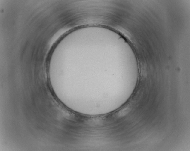 X0000076221078200610122044