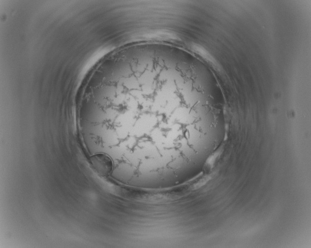 X0000076221079200610122044