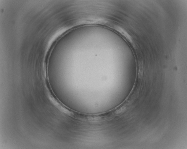 X0000076221080200610122044