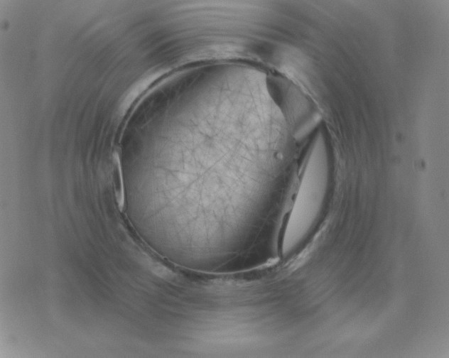 X0000076221081200610122044