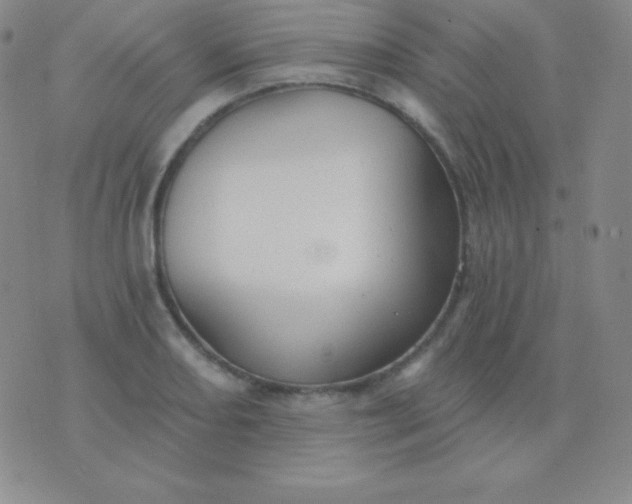 X0000076221082200610122044