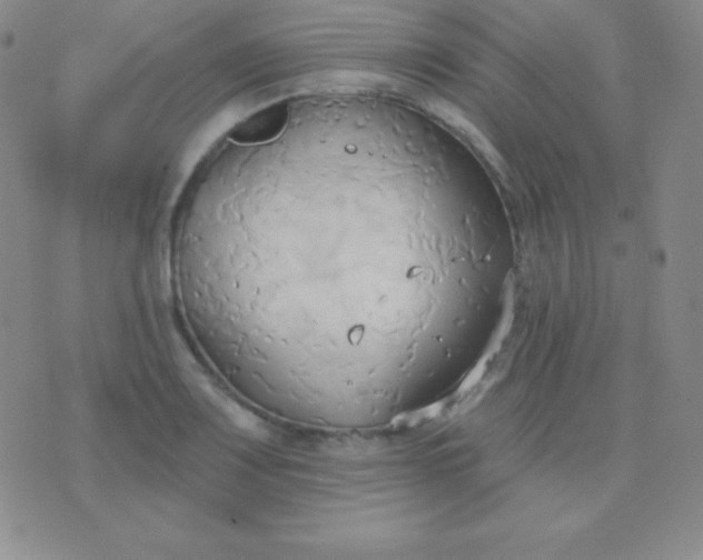 X0000076221083200610122044